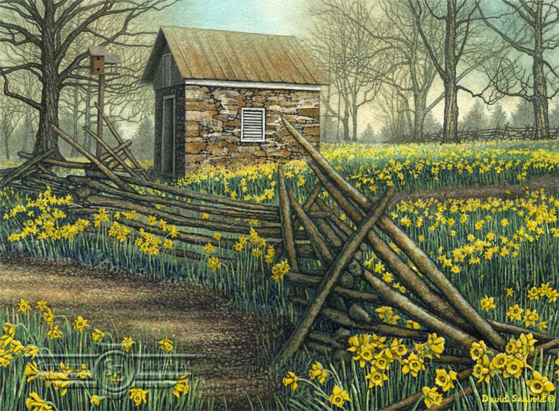 American Cancer Society Fundraiser, Split Rail Fence, Daffodils, Birdhouse, Stone Springhouse, Trees, Spring, Sunshine